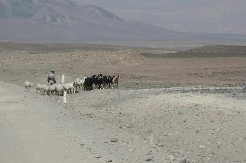 Peru 0229
